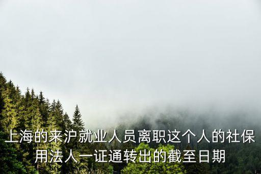 上海市個體一證通，法人一證通 上海市法人一證通一定要辦理嘛 可以不辦嘛