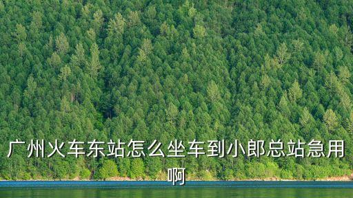 廣州火車東站怎么坐車到小郎總站急用啊
