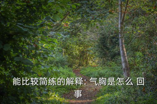 能比較簡練的解釋: 氣胸是怎么 回事