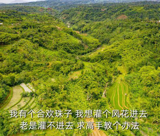 我有個合歡珠子 我想灌個風花進去 老是灌不進去 求高手教個辦法