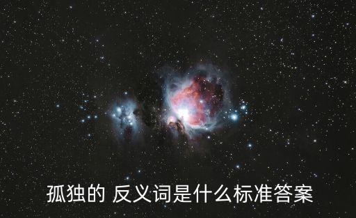孤獨的反義詞,孤獨的反義詞有哪些?
