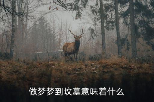 做夢(mèng)夢(mèng)到墳?zāi)挂馕吨裁? class=