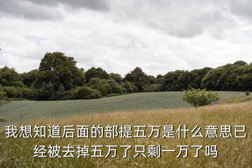 我想知道后面的部提五萬是什么意思已經被去掉五萬了只剩一萬了嗎
