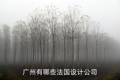 廣州有哪些法國(guó)設(shè)計(jì)公司