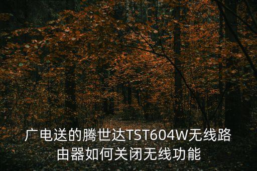 廣電送的騰世達TST604W無線路由器如何關閉無線功能