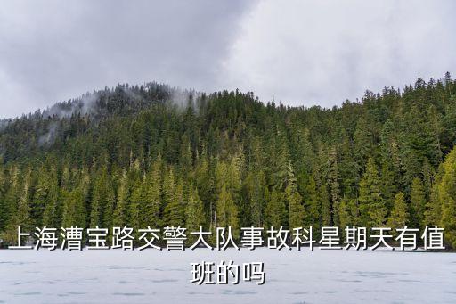 上海漕寶路交警大隊事故科星期天有值班的嗎