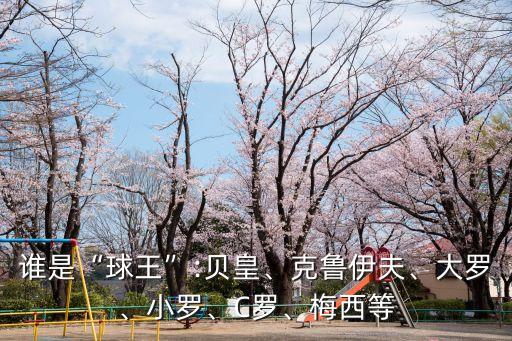 足球之王,足球之王貝利拜仁慕尼黑成就非他莫屬