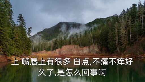 上 嘴唇上有很多 白點,不痛不癢好久了,是怎么回事啊