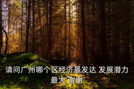 廣州 有前景的區(qū)域，廣州未來核心區(qū)域是那里