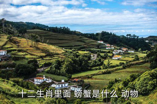 螃蟹是什么動物,26種有毒的螃蟹圖片