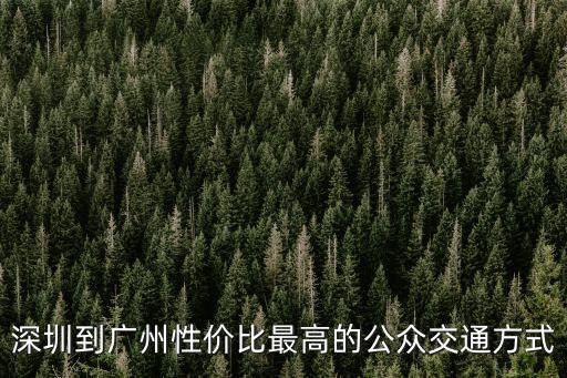 深圳到廣州性價比最高的公眾交通方式