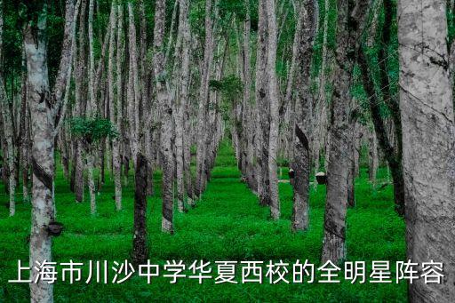 上海市川沙中學華夏西校的全明星陣容