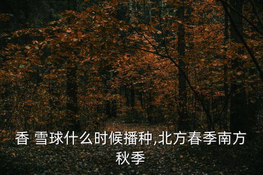 香 雪球什么時候播種,北方春季南方秋季