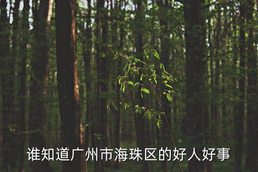 廣州好人好事湯琪，誰知道廣州市海珠區的好人好事