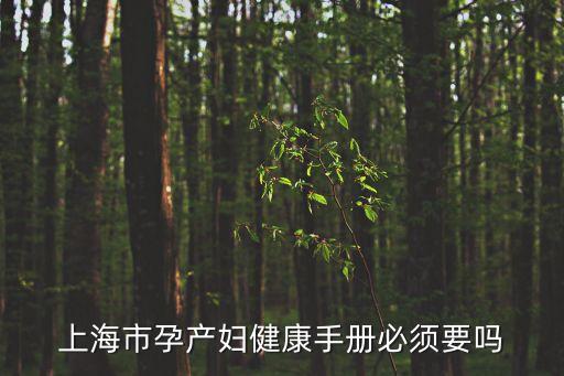 上海市孕產婦健康手冊圖片，上海市孕產婦健康手冊必須要嗎
