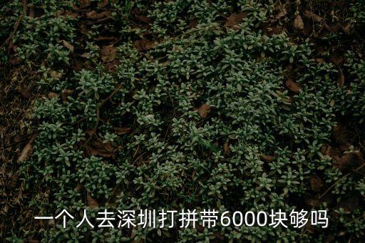 一個人去深圳打拼帶6000塊夠嗎