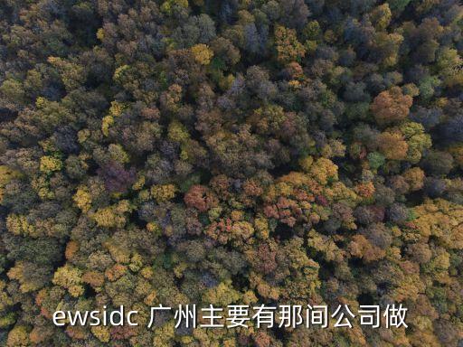 廣州尚易迅科技，ewsidc 廣州主要有那間公司做
