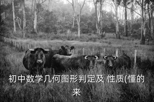 合比性質(zhì)