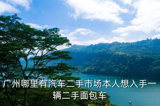 廣州哪里有汽車二手市場本人想入手一輛二手面包車