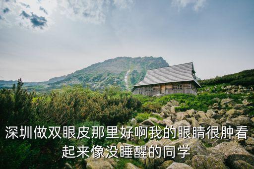 深圳做雙眼皮那里好啊我的眼睛很腫看起來像沒睡醒的同學