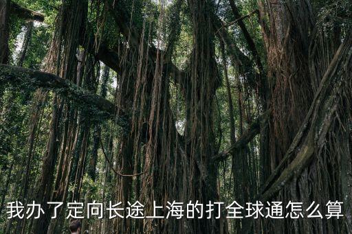 我辦了定向長途上海的打全球通怎么算