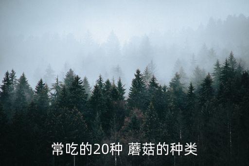 蘑菇種類,20種常吃蘑菇有害健康