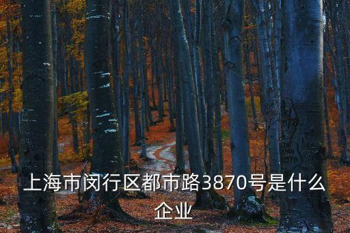 上海市閔行區(qū)都市路3870號是什么企業(yè)