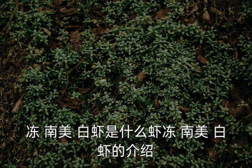 凍 南美 白蝦是什么蝦凍 南美 白蝦的介紹