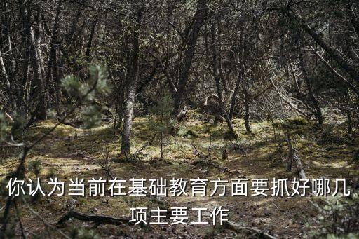你認(rèn)為當(dāng)前在基礎(chǔ)教育方面要抓好哪幾項(xiàng)主要工作