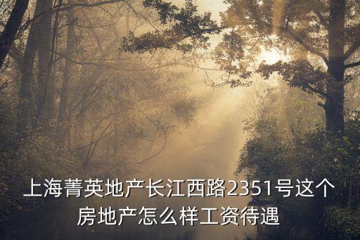 上海菁英地產長江西路2351號這個房地產怎么樣工資待遇