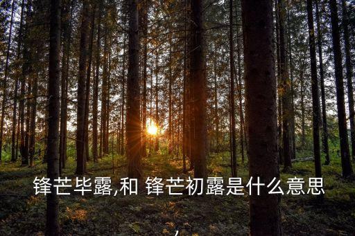 鋒芒是什么意思,你的善良必須有點鋒芒是什么意思