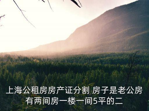 上海市公租房設(shè)計(jì)，上海公租房房產(chǎn)證分割 房子是老公房有兩間房一樓一間5平的二