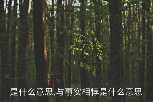 相悖是什么意思,與事實(shí)相悖是什么意思