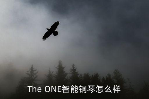 The ONE智能鋼琴怎么樣