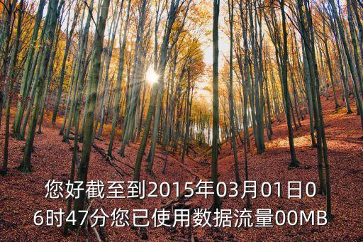 您好截至到2015年03月01日06時47分您已使用數(shù)據(jù)流量00MB
