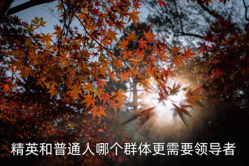 精英和普通人哪個群體更需要領導者