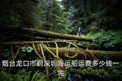 煙臺龍口市到深圳海運船運費多少錢一噸