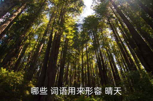 描寫(xiě)晴天的詞語(yǔ),夏天天氣晴朗的五個(gè)詞語(yǔ)