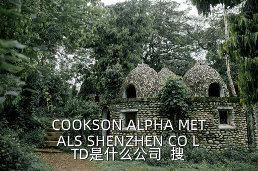 COOKSON ALPHA METALS SHENZHEN CO LTD是什么公司  搜
