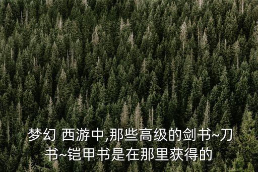 夢(mèng)幻西游高級(jí)藏寶圖各地圖出書