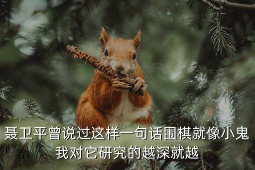 聶衛平圍棋道場深圳，聶衛平曾說過這樣一句話圍棋就像小鬼我對它研究的越深就越