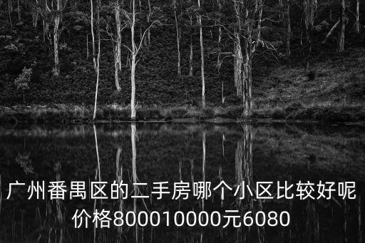 廣州番禺區的二手房哪個小區比較好呢價格800010000元6080