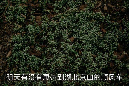 明天有沒有惠州到湖北京山的順風(fēng)車