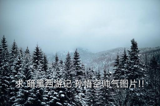 求 暗黑西游記 孫悟空帥氣圖片!!!