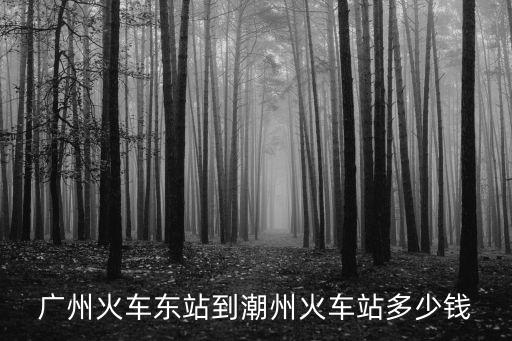 廣州火車東站到潮州火車站多少錢
