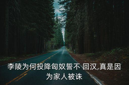 回漢,匈奴人倫與文明禮數不符和親?