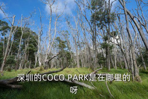 深圳的COCO PARK是在哪里的呀