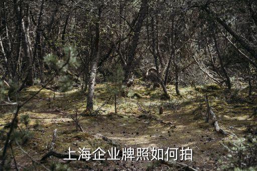 上海市企業車牌，上海企業牌照如何拍
