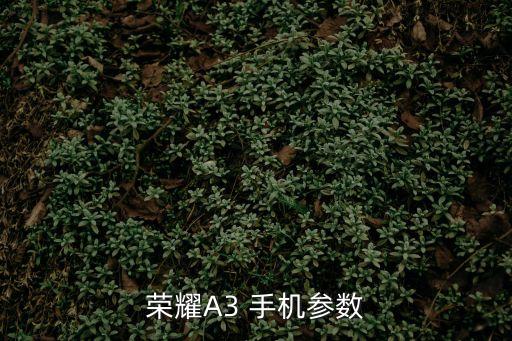 榮耀A3 手機參數