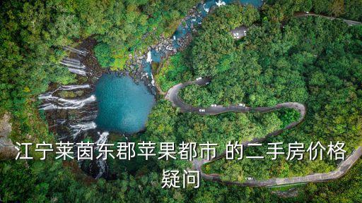 江寧萊茵東郡蘋果都市 的二手房價(jià)格疑問
